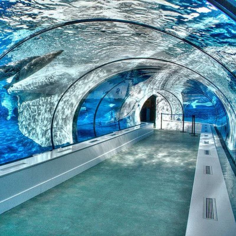 Underwater acrylic aquarium tunnel
