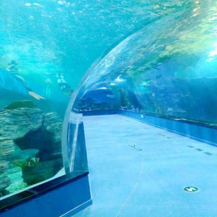 Large cast acrylic aquarium tunnel wall